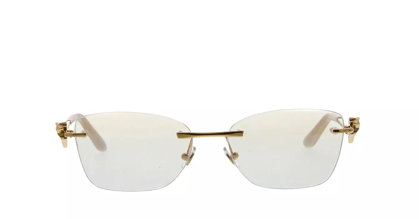 Cartier CT0120OA 002 s54