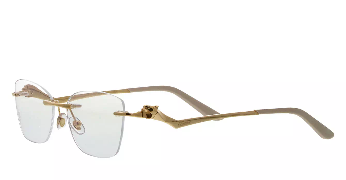 Cartier CT0120OA 002 s54