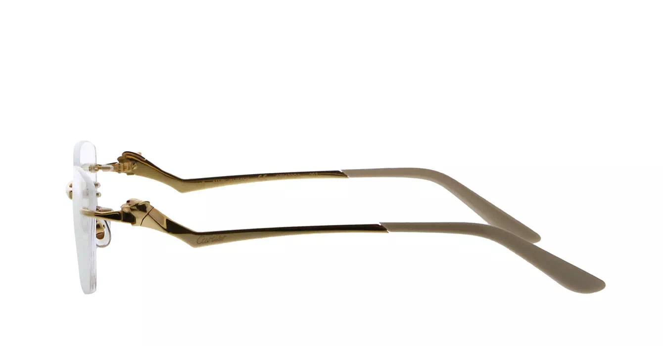 Cartier CT0120OA 002 s54