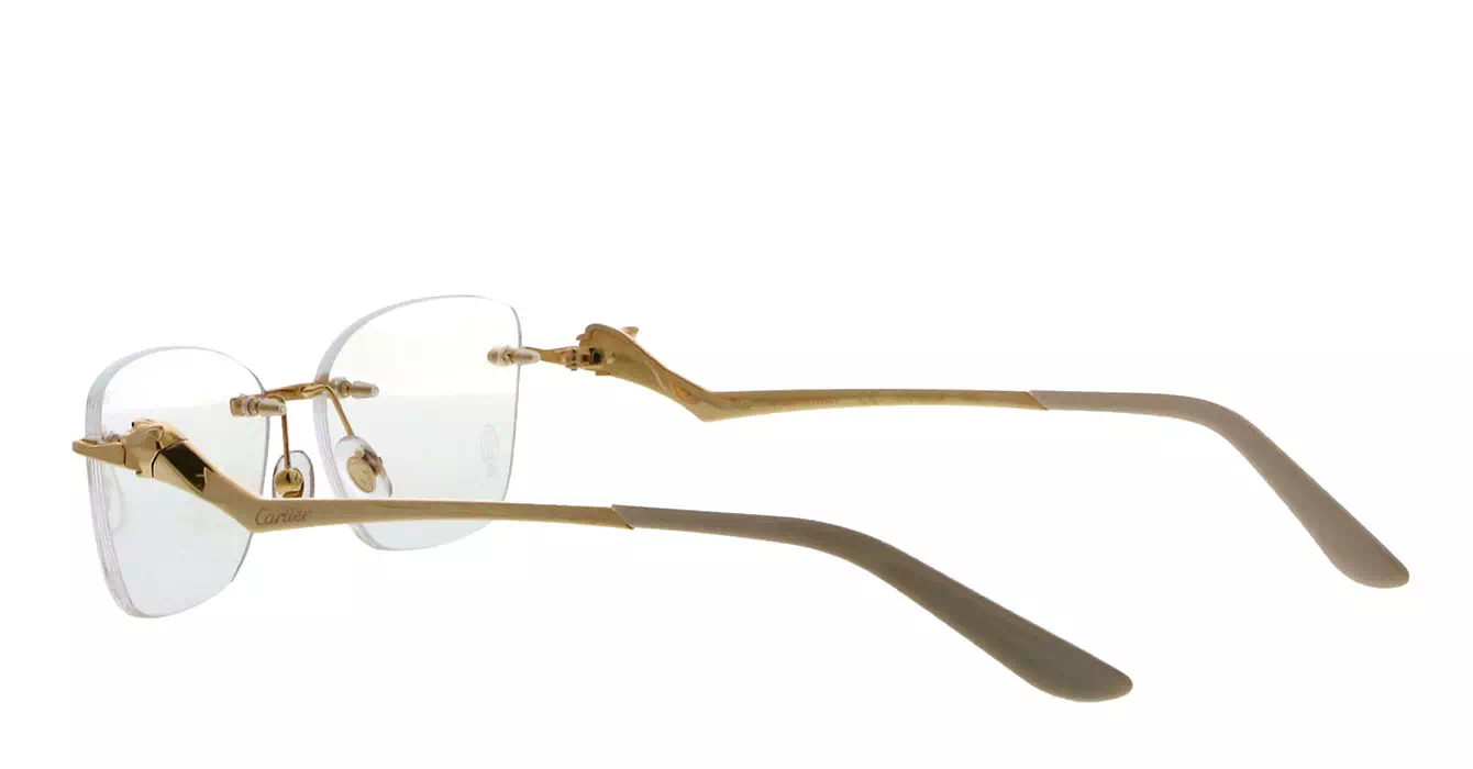 Cartier CT0120OA 002 s54