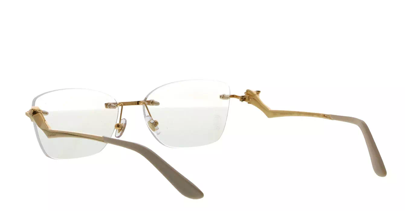 Cartier CT0120OA 002 s54