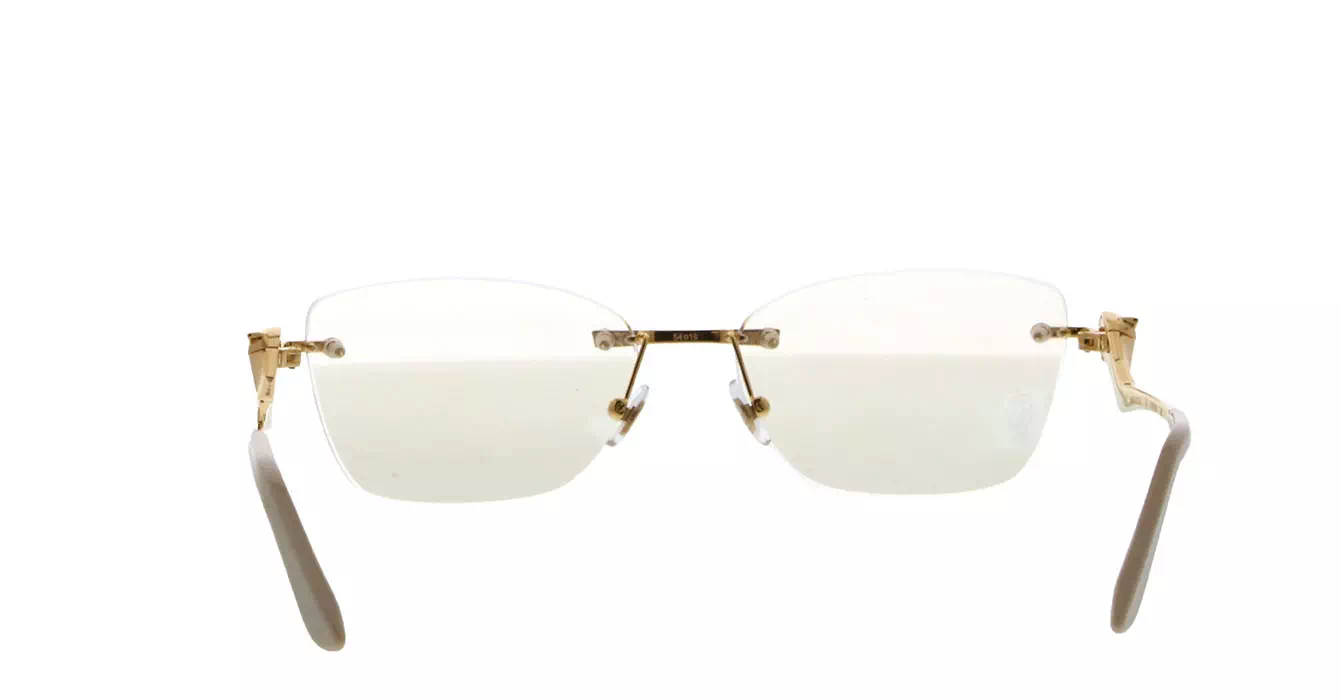 Cartier CT0120OA 002 s54