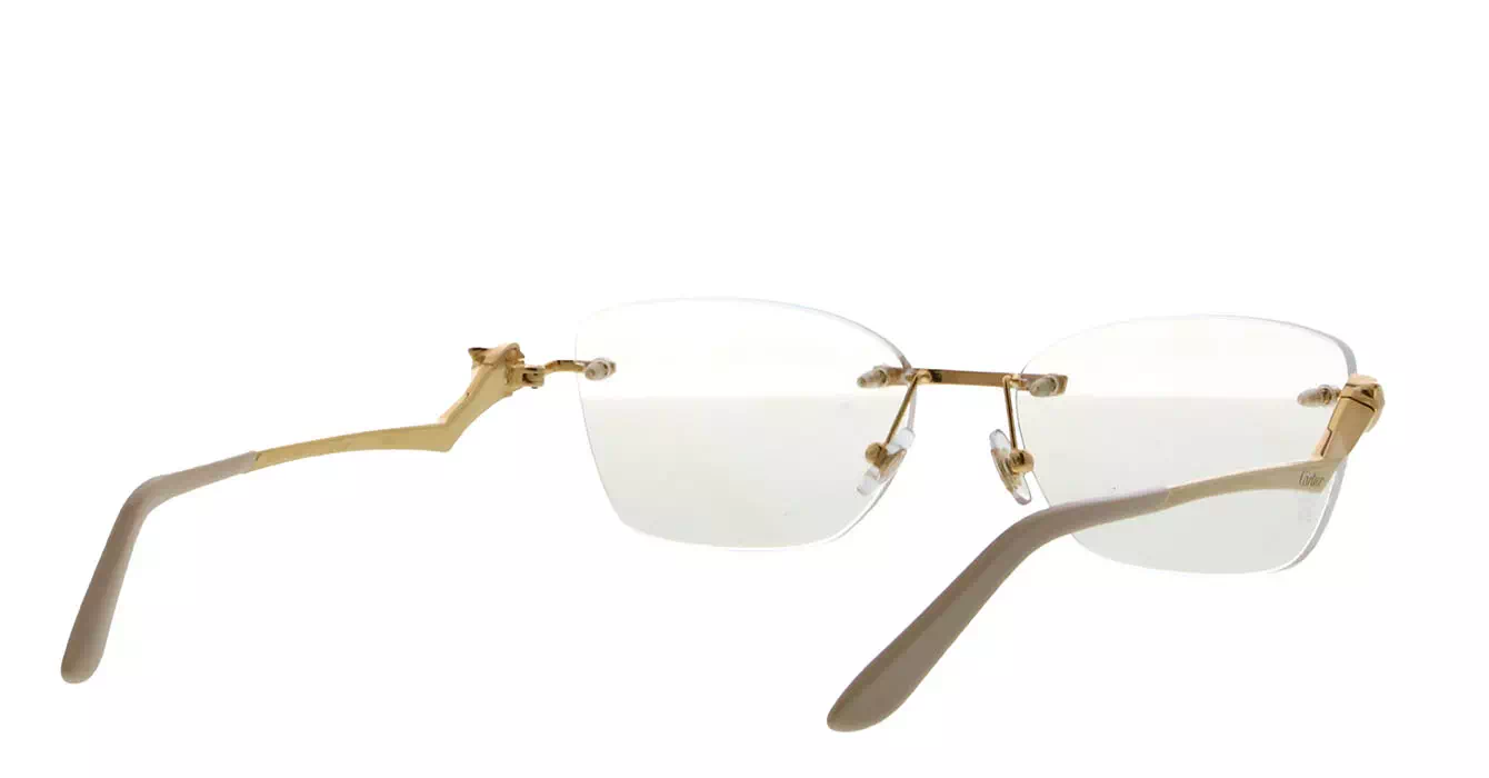 Cartier CT0120OA 002 s54