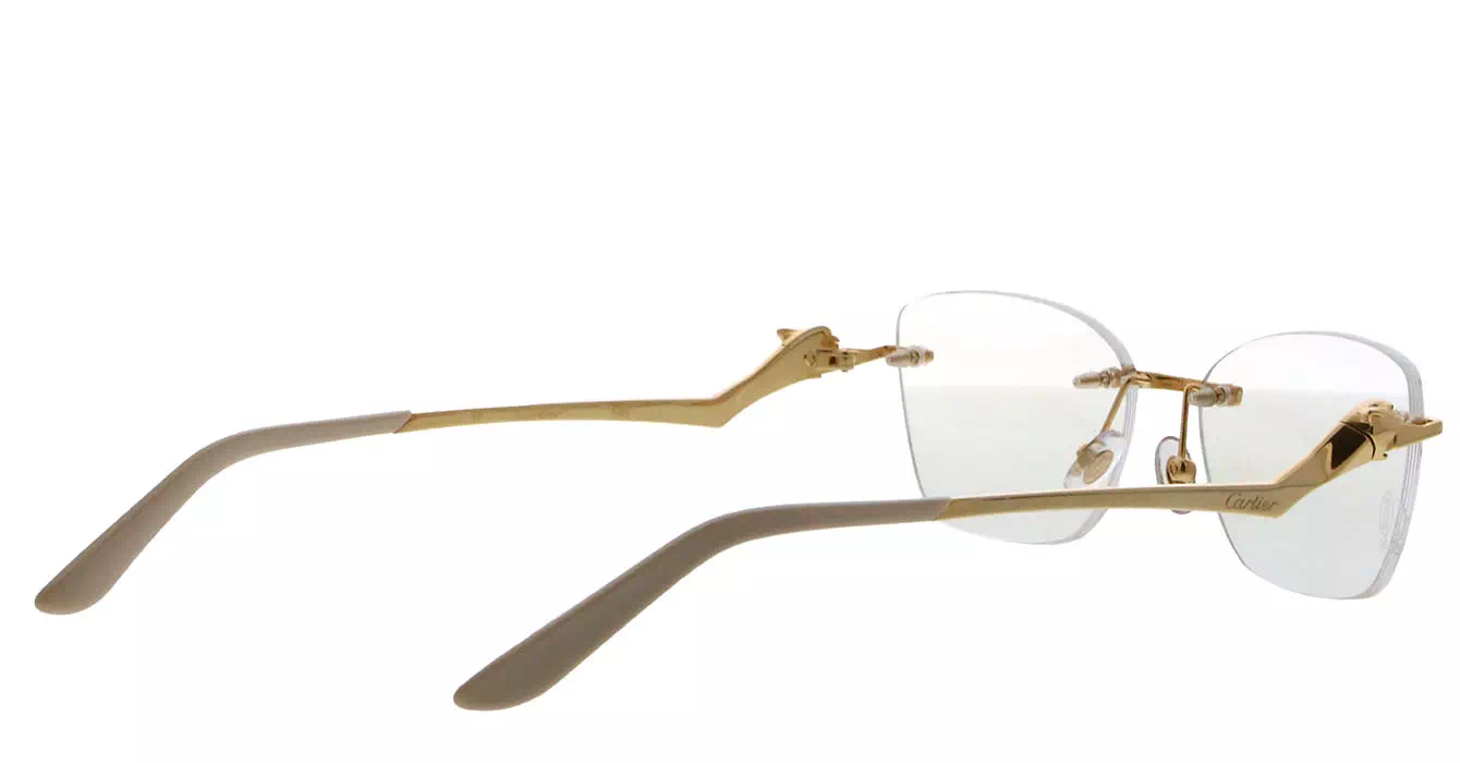 Cartier CT0120OA 002 s54