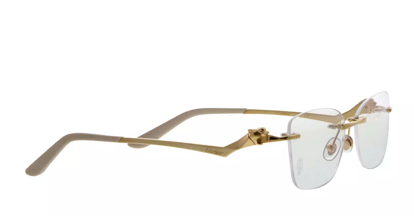 Cartier CT0120OA 002 s54