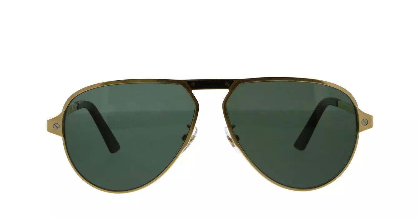 Cartier CT0101SA 003 s61