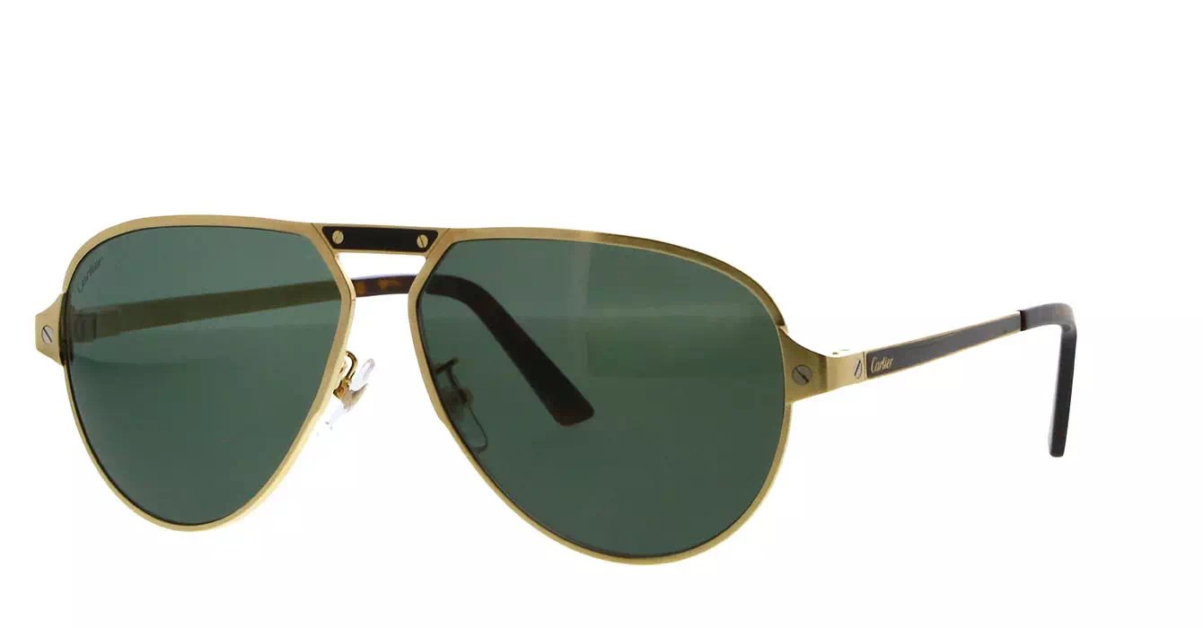 Cartier CT0101SA 003 s61