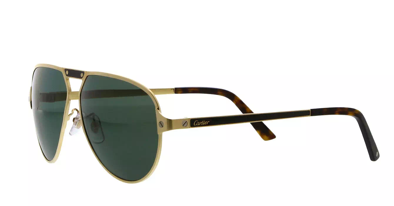 Cartier CT0101SA 003 s61