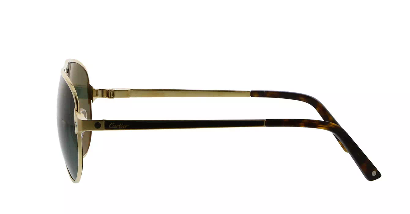 Cartier CT0101SA 003 s61