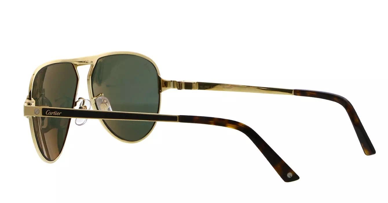 Cartier CT0101SA 003 s61