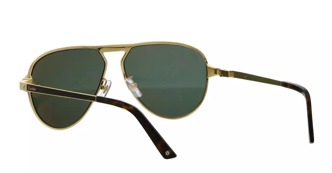 Cartier CT0101SA 003 s61