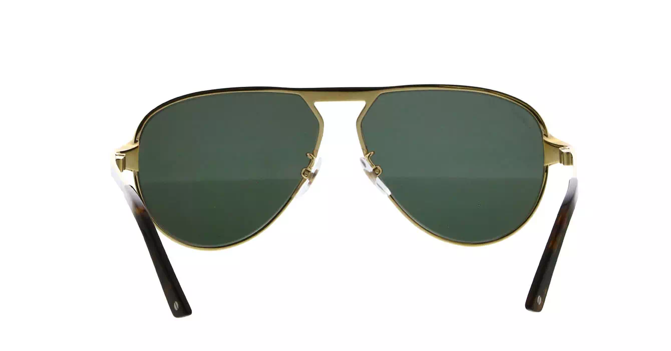 Cartier CT0101SA 003 s61
