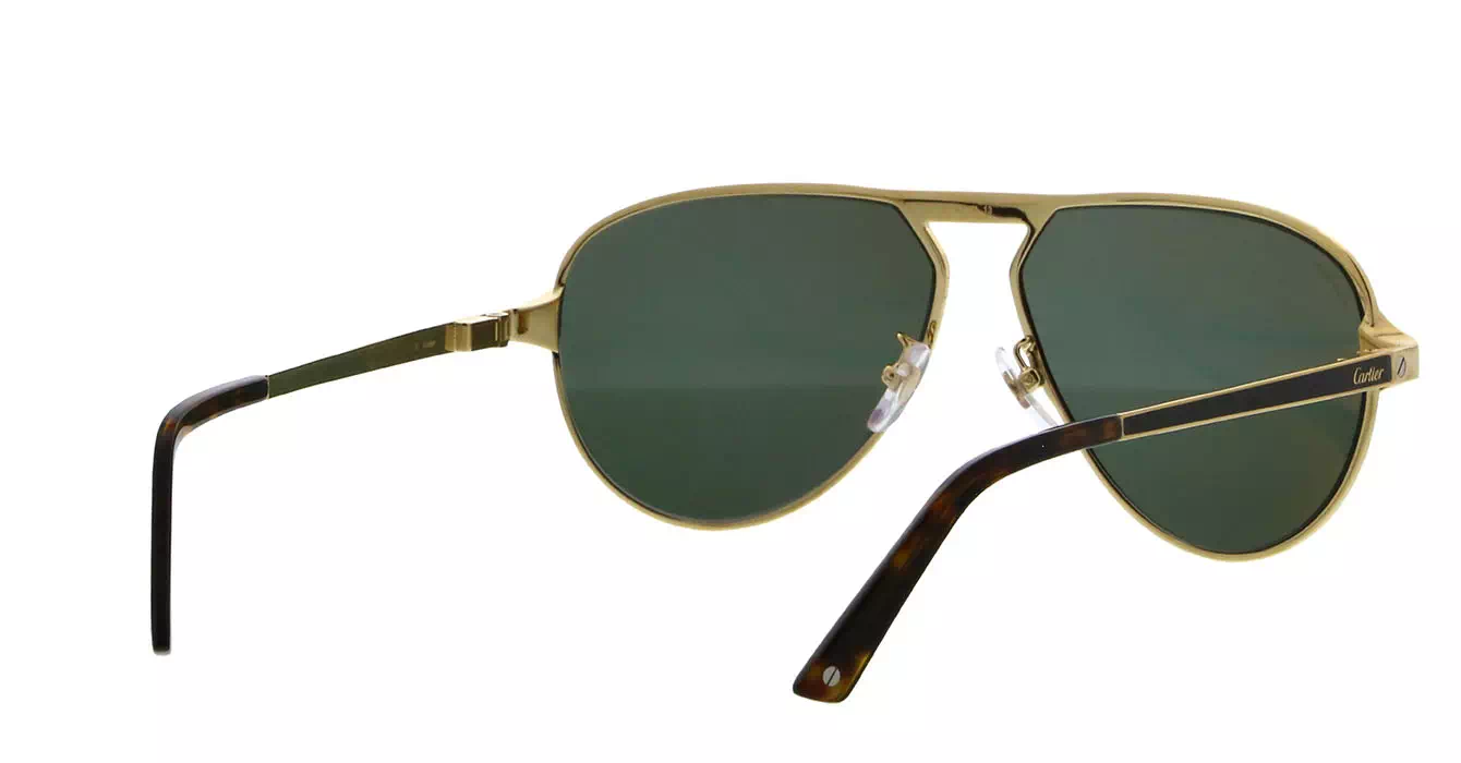 Cartier CT0101SA 003 s61