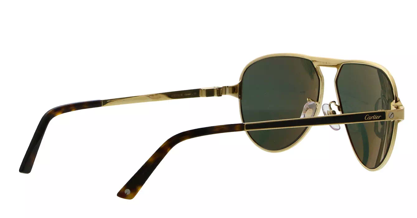 Cartier CT0101SA 003 s61