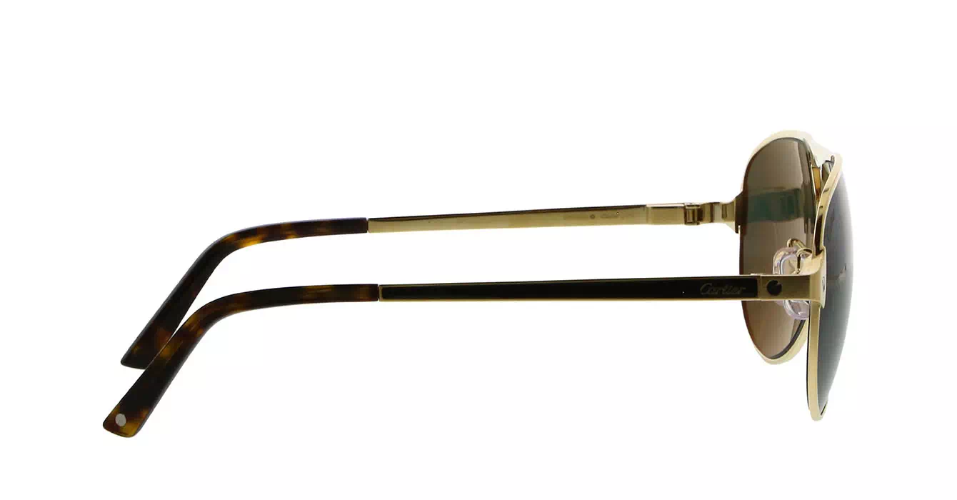 Cartier CT0101SA 003 s61