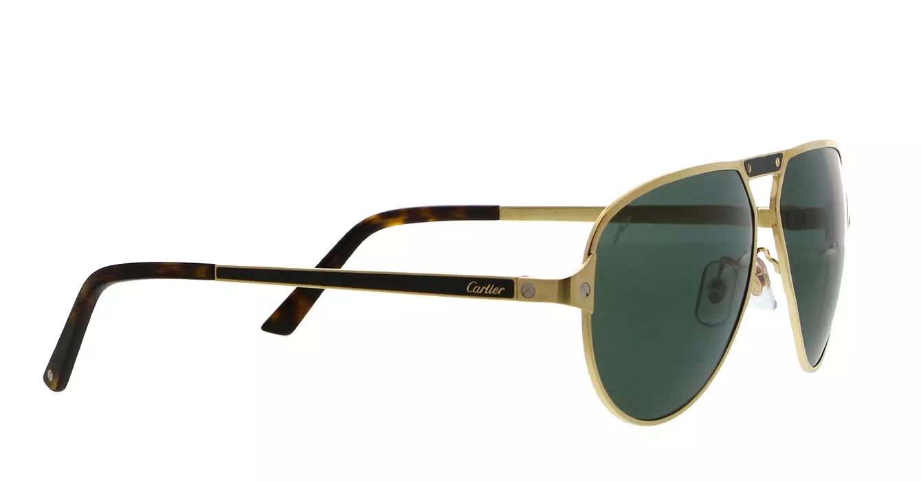 Cartier CT0101SA 003 s61