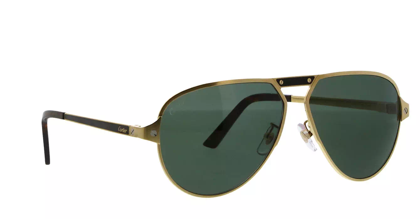 Cartier CT0101SA 003 s61