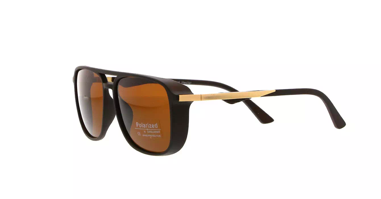 Franc Nobel PL366 C03 s57 POLARIZED HECTOR