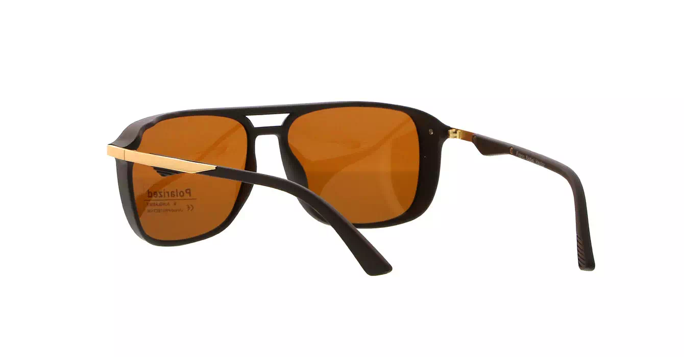 Franc Nobel PL366 C03 s57 POLARIZED HECTOR