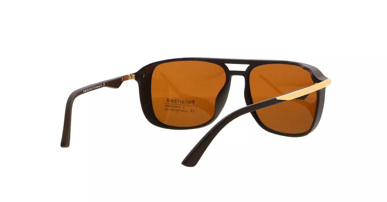 Franc Nobel PL366 C03 s57 POLARIZED HECTOR