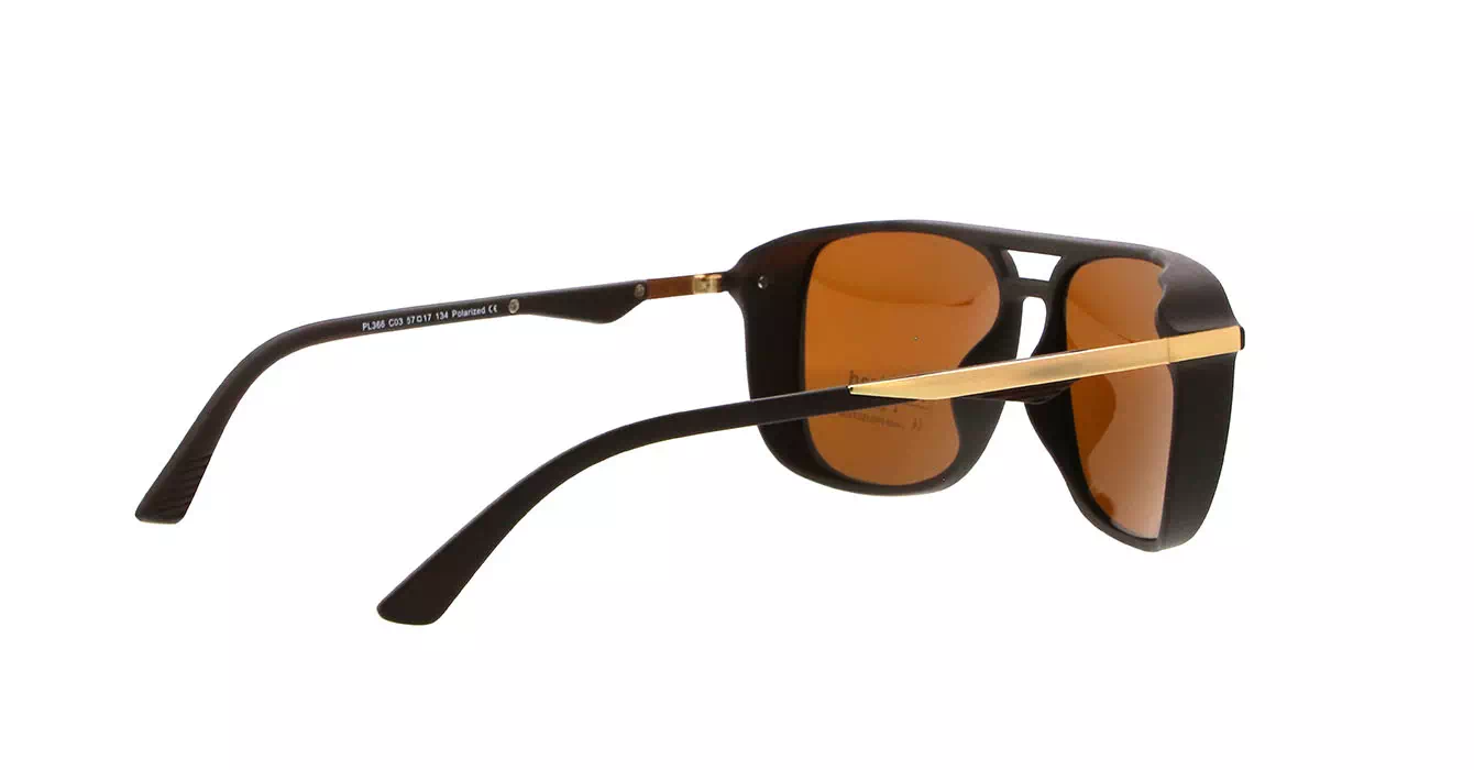 Franc Nobel PL366 C03 s57 POLARIZED HECTOR