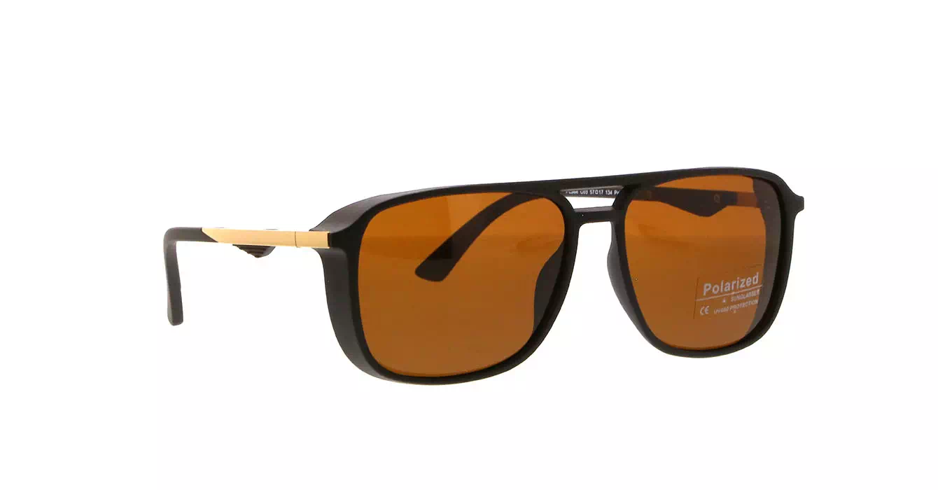 Franc Nobel PL366 C03 s57 POLARIZED HECTOR