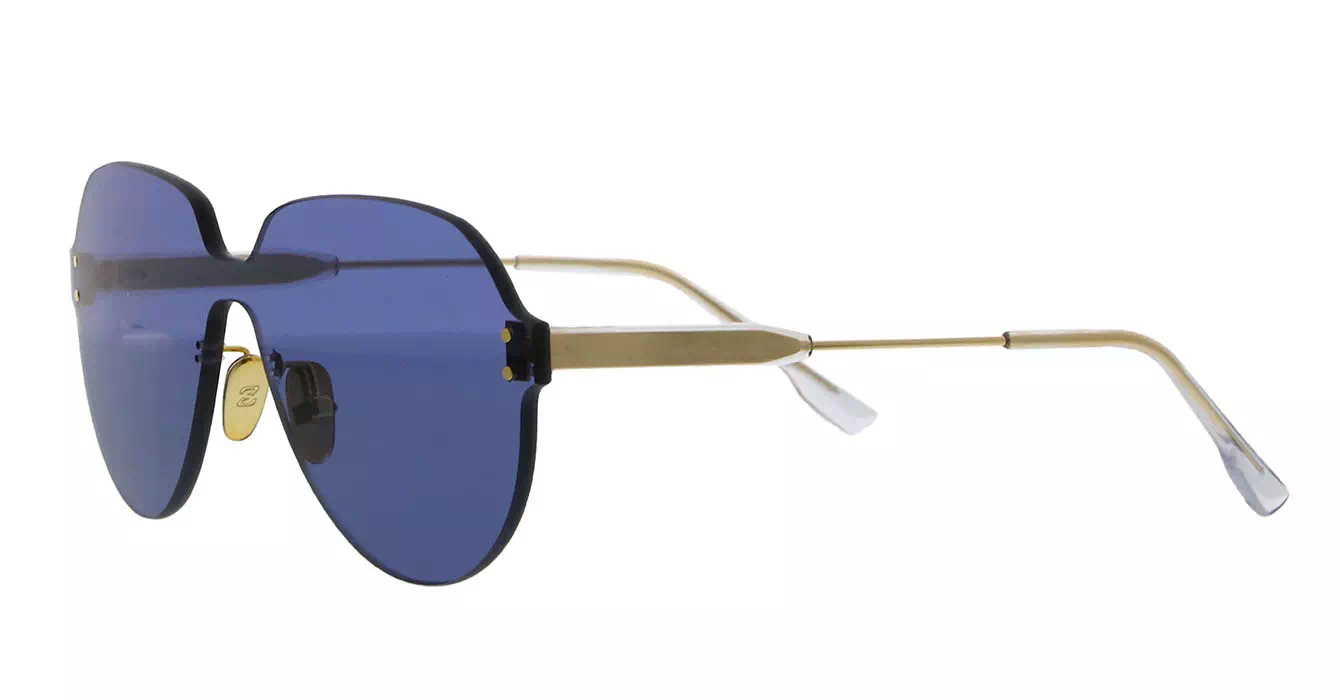 Franc Nobel S31237 C21 s65 CECILE