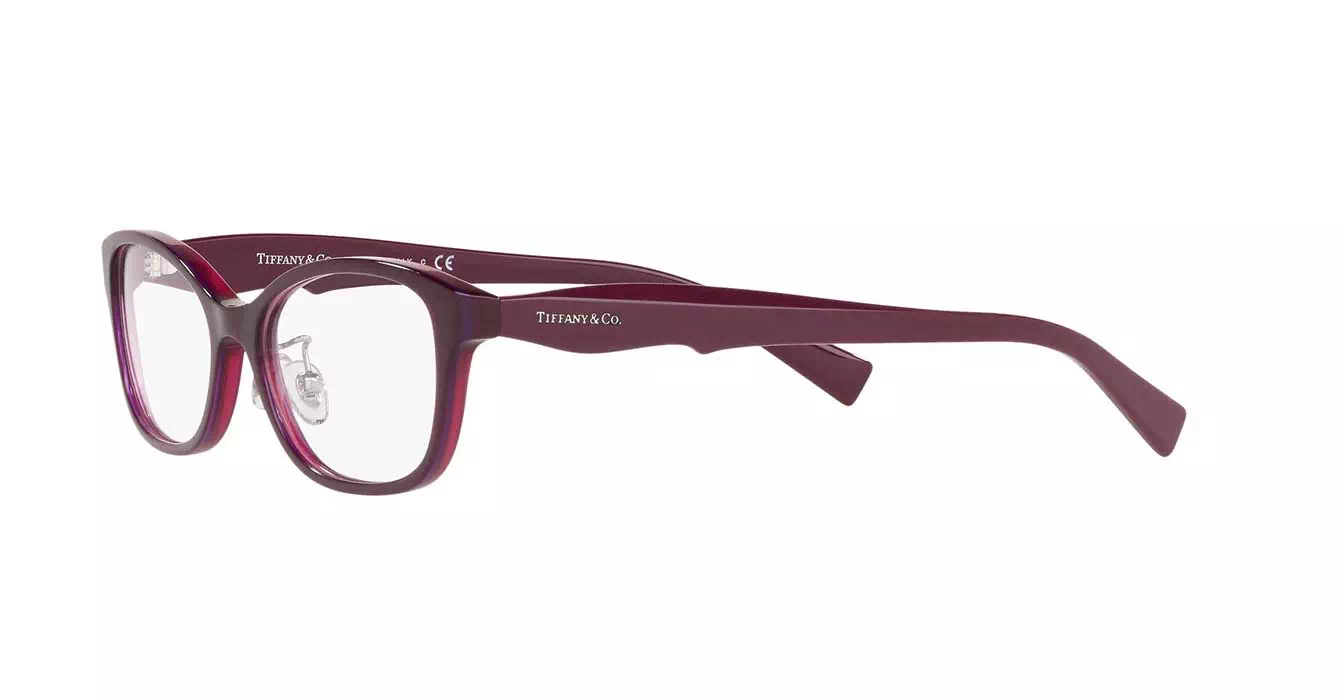 Tiffany&co TF2187-D 8173 s52