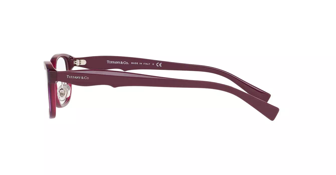 Tiffany&co TF2187-D 8173 s52