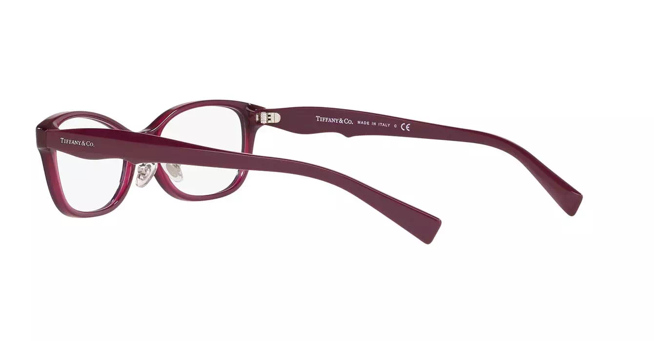 Tiffany&co TF2187-D 8173 s52