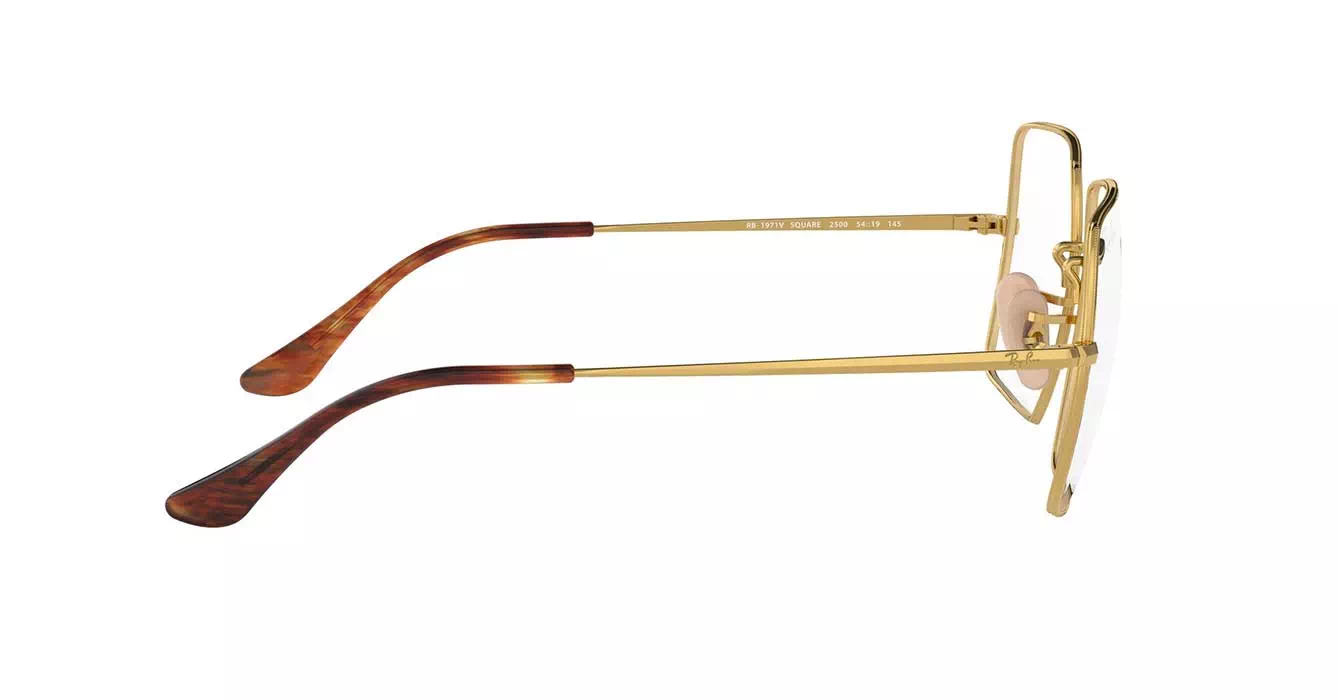 Ray-Ban RB1971-V 2500 s54