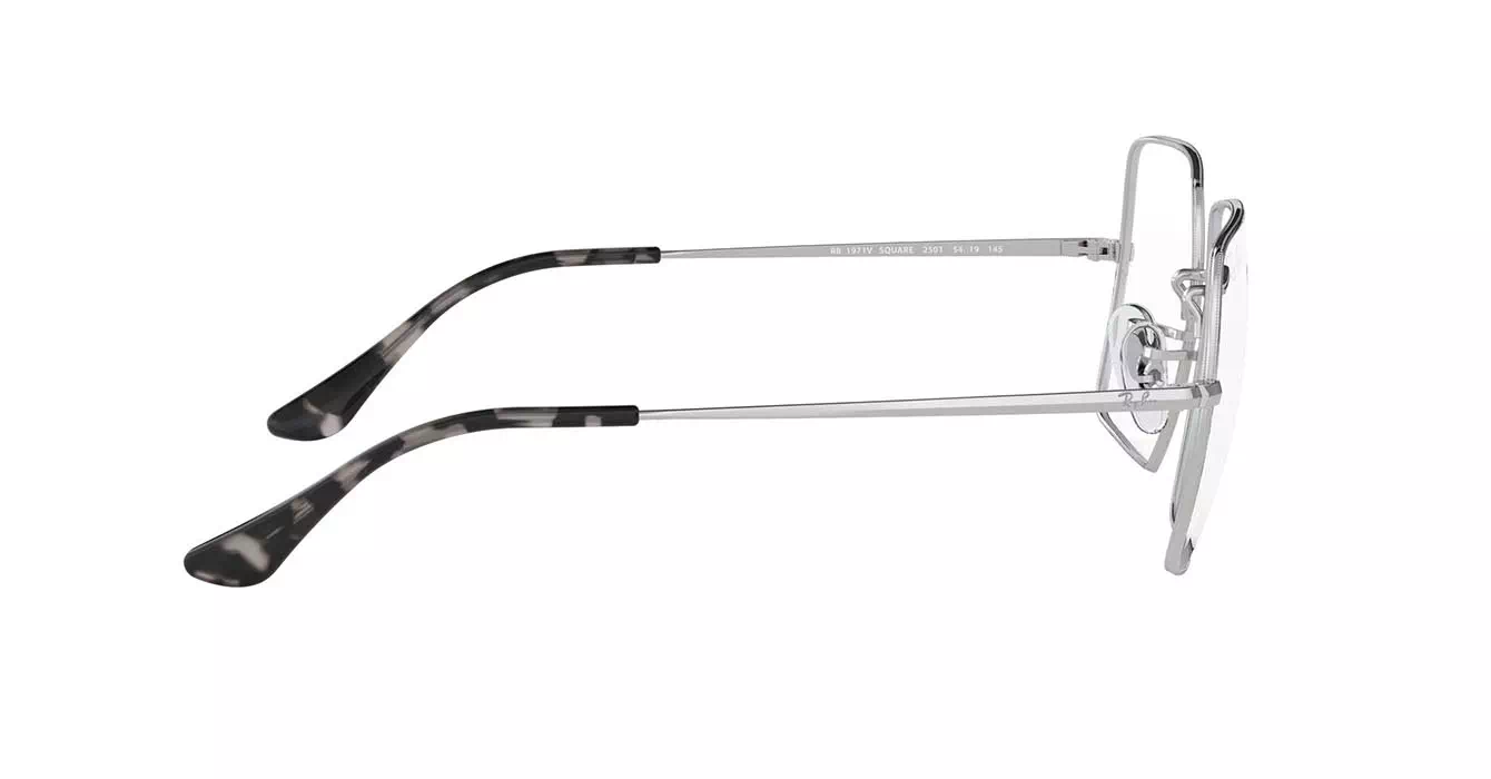 Ray-Ban RB1971-V 2501 s54