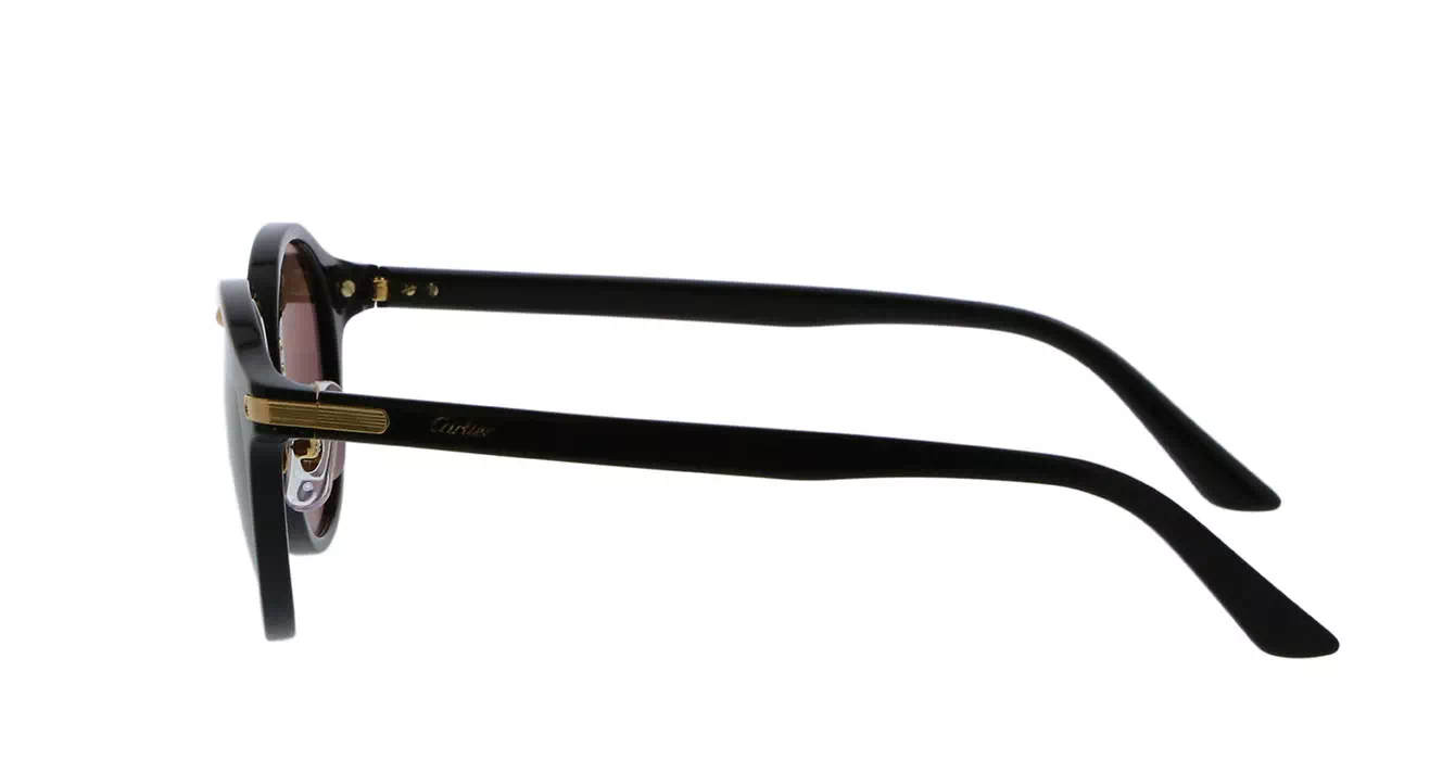 Cartier CT0145S 001 s48