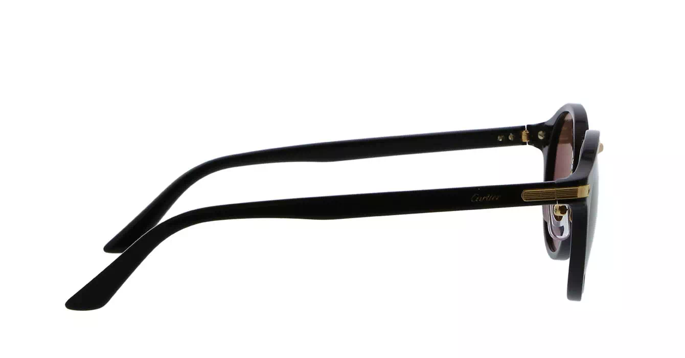 Cartier CT0145S 001 s48