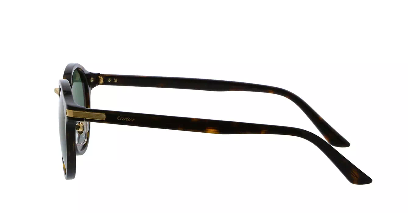 Cartier CT0145S 002 s48