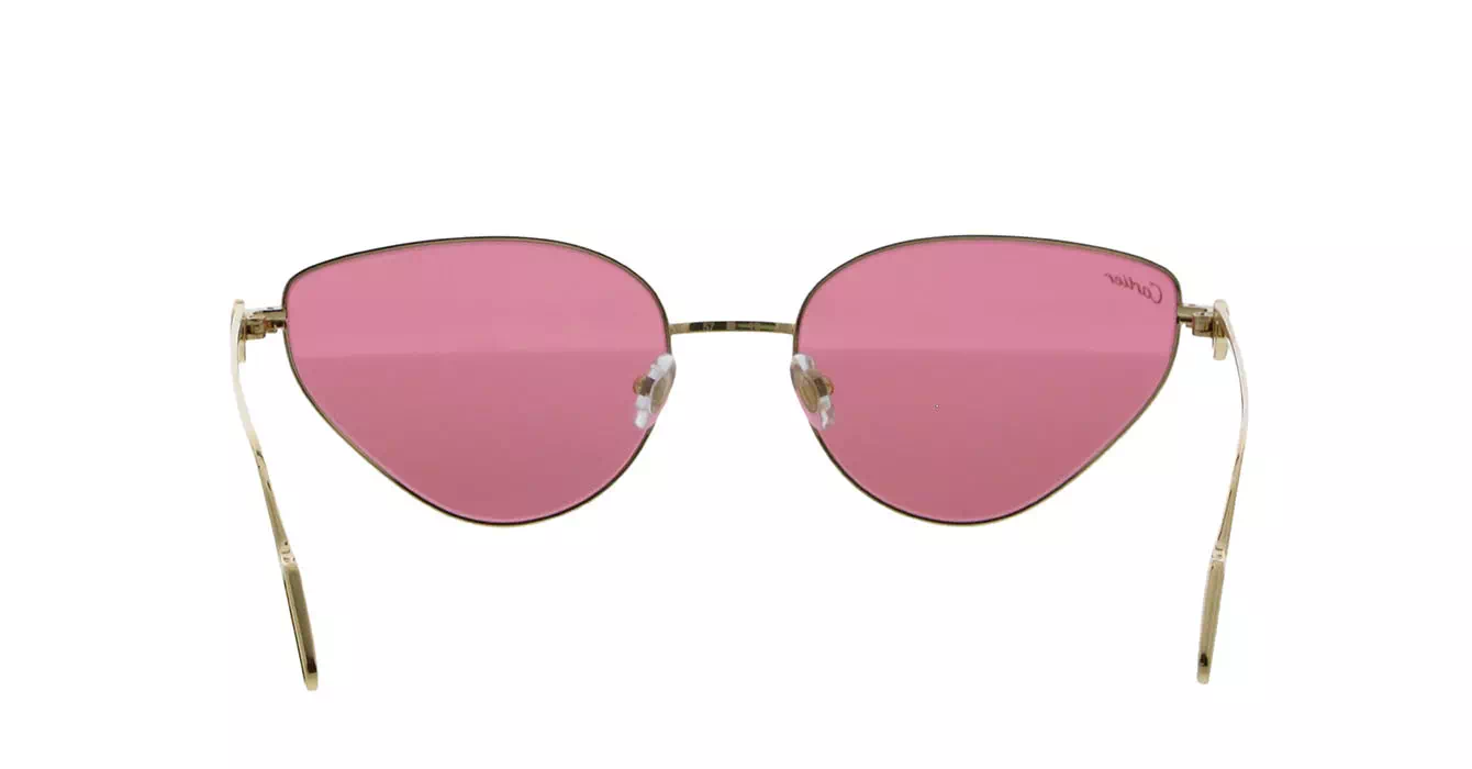 Cartier CT0155S 003 s57