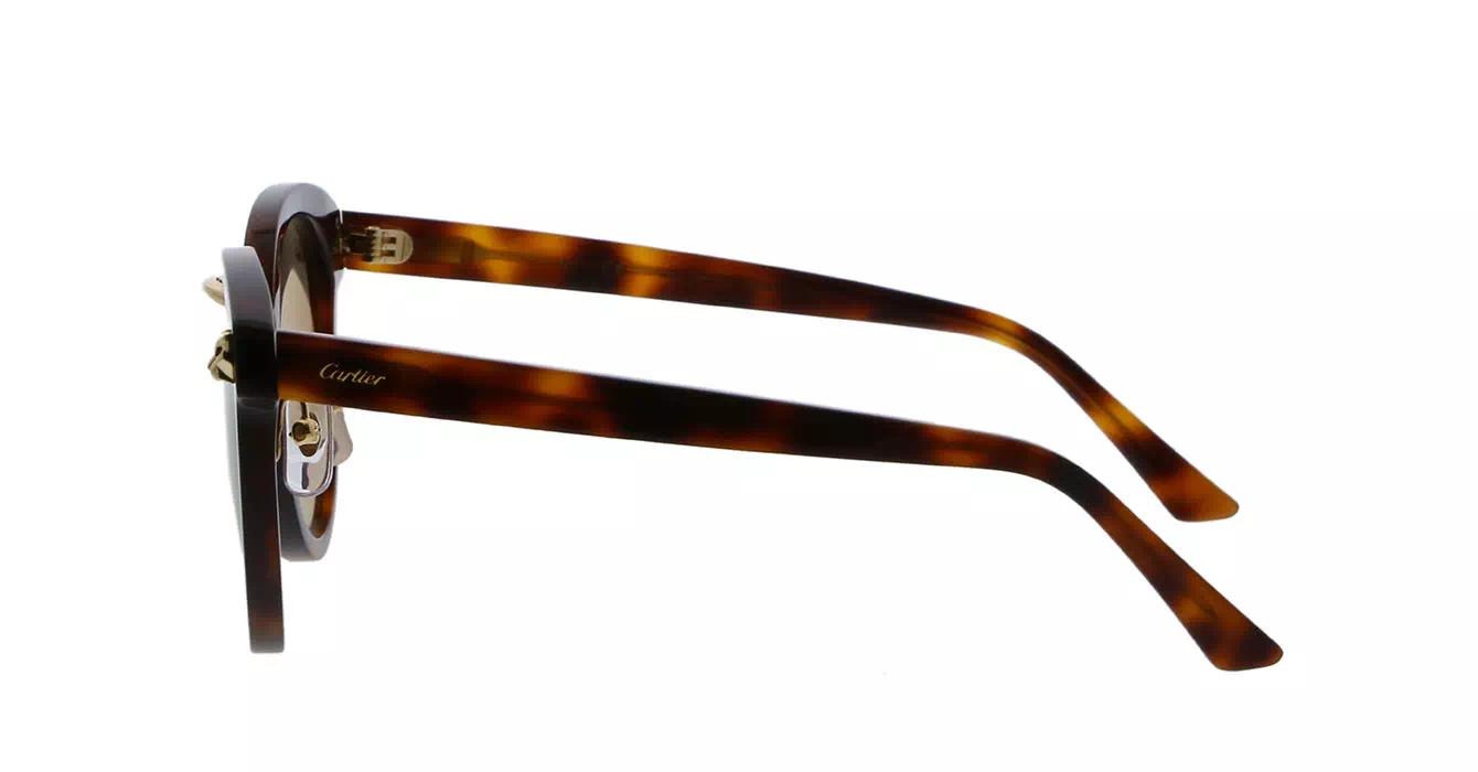 Cartier CT0142S 002 s51
