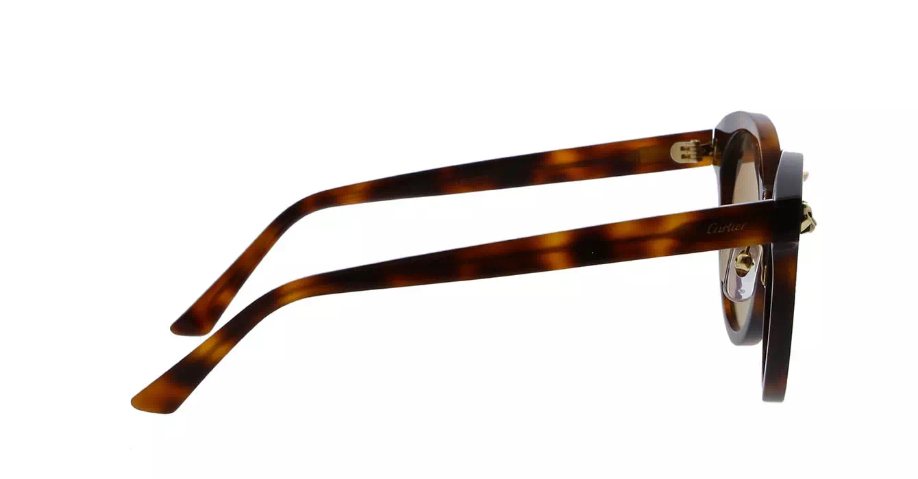 Cartier CT0142S 002 s51
