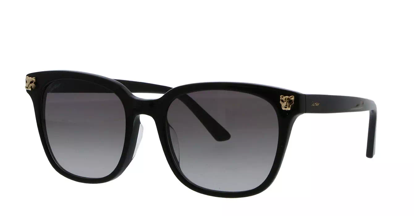 Cartier CT0143SA 001 s56