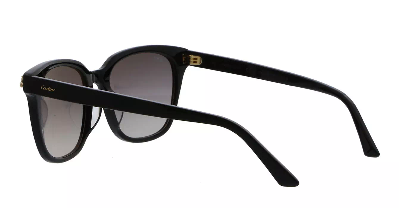 Cartier CT0143SA 001 s56