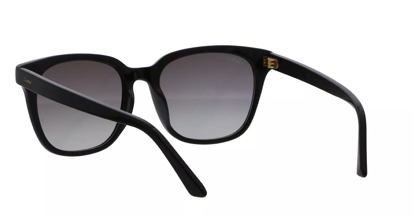 Cartier CT0143SA 001 s56