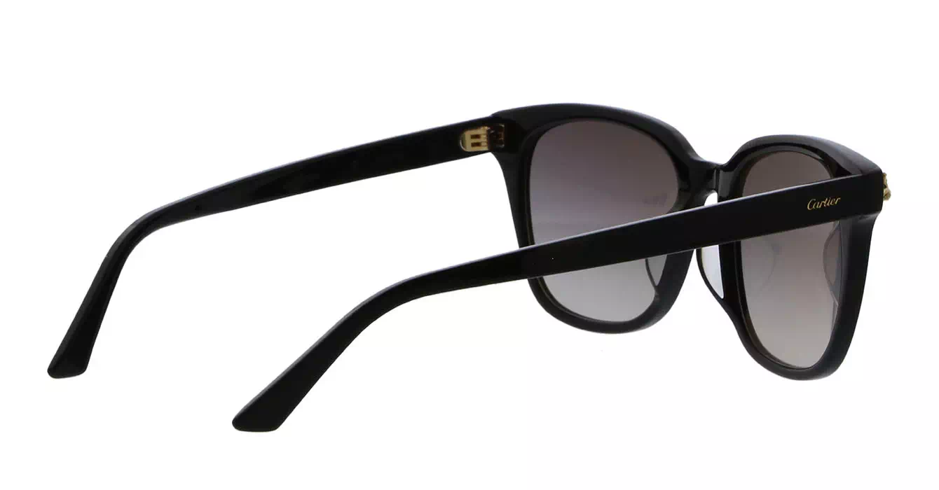 Cartier CT0143SA 001 s56
