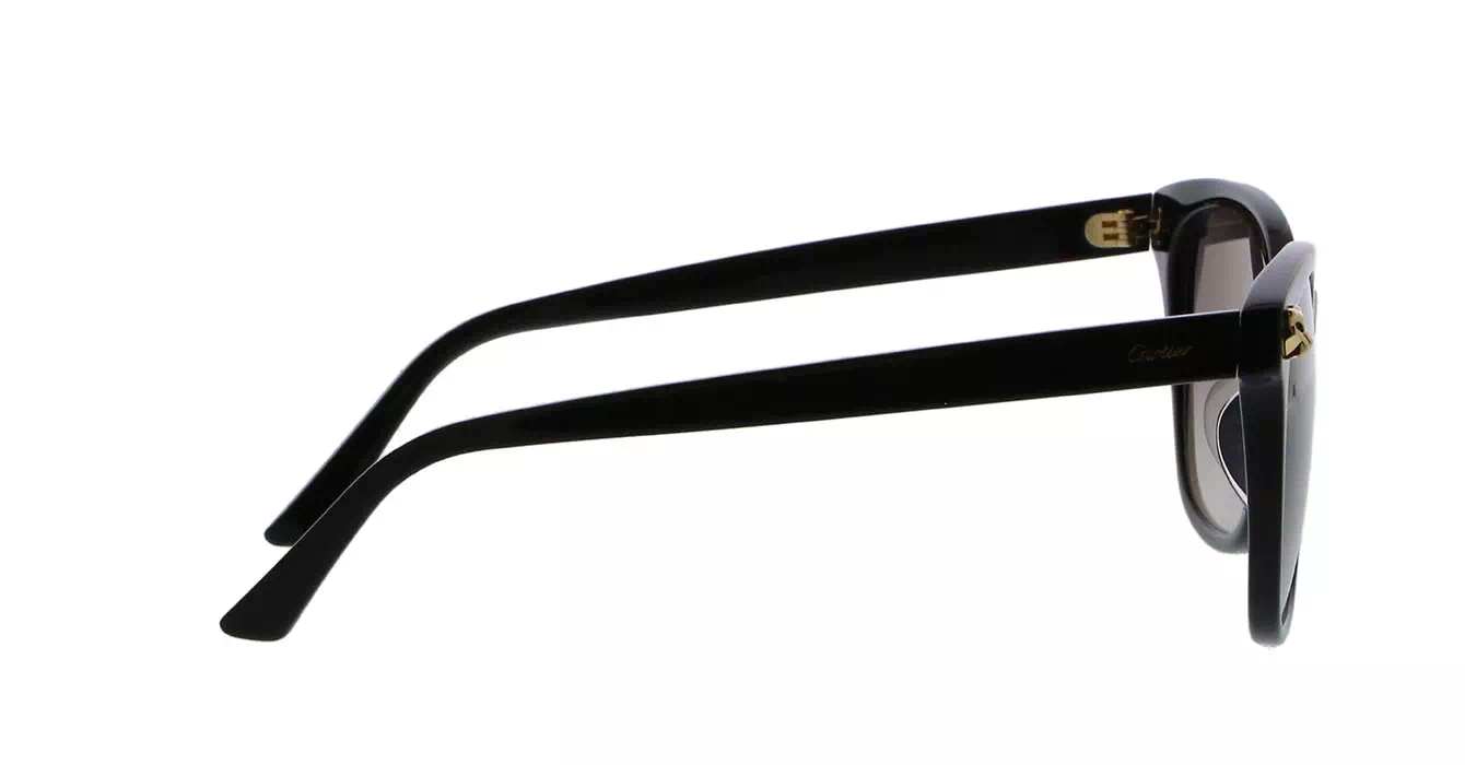 Cartier CT0143SA 001 s56