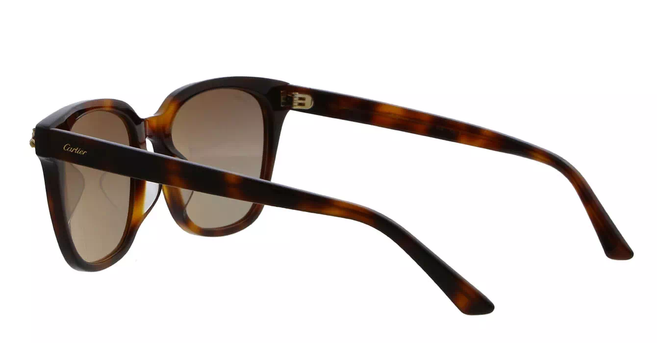 Cartier CT0143SA 002 s56