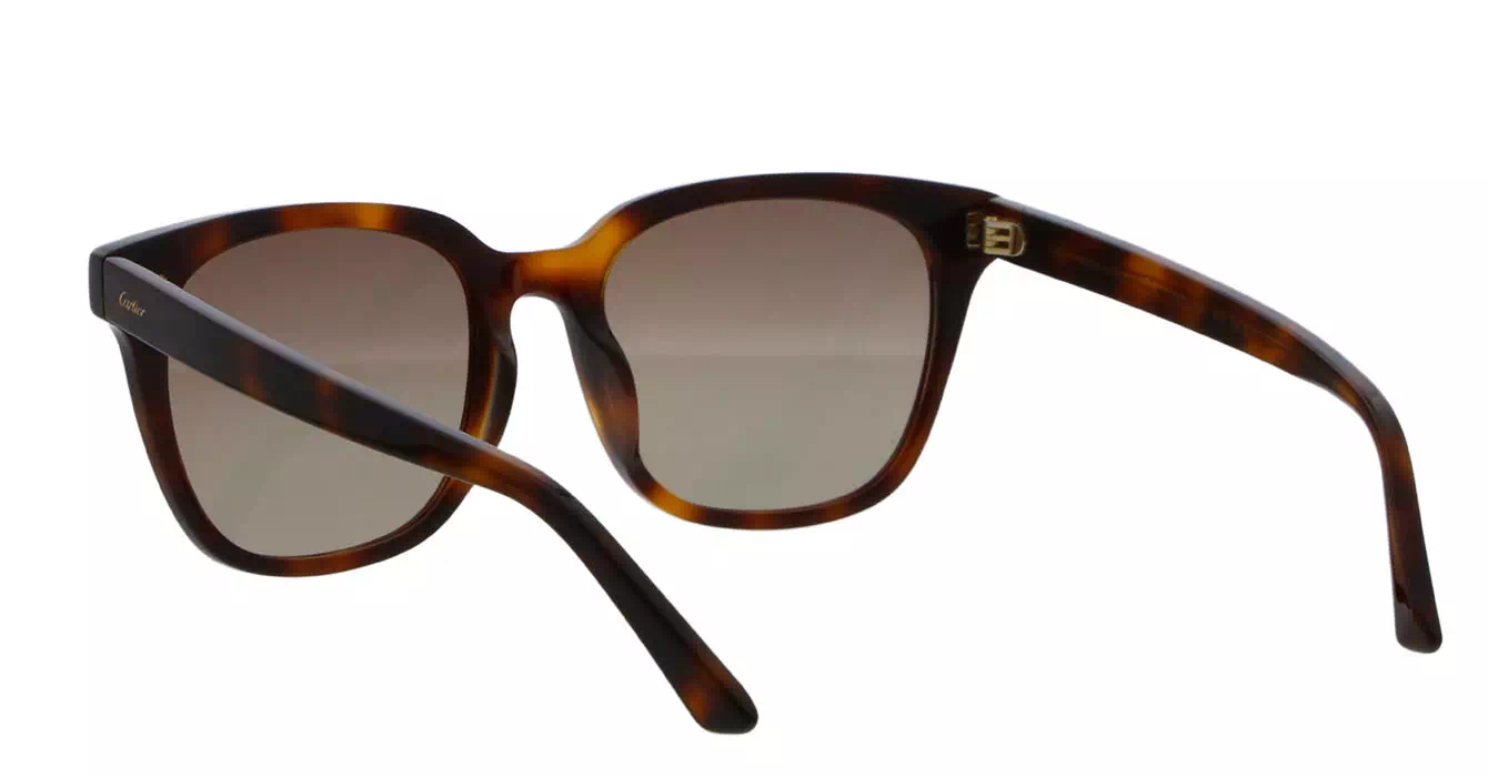 Cartier CT0143SA 002 s56