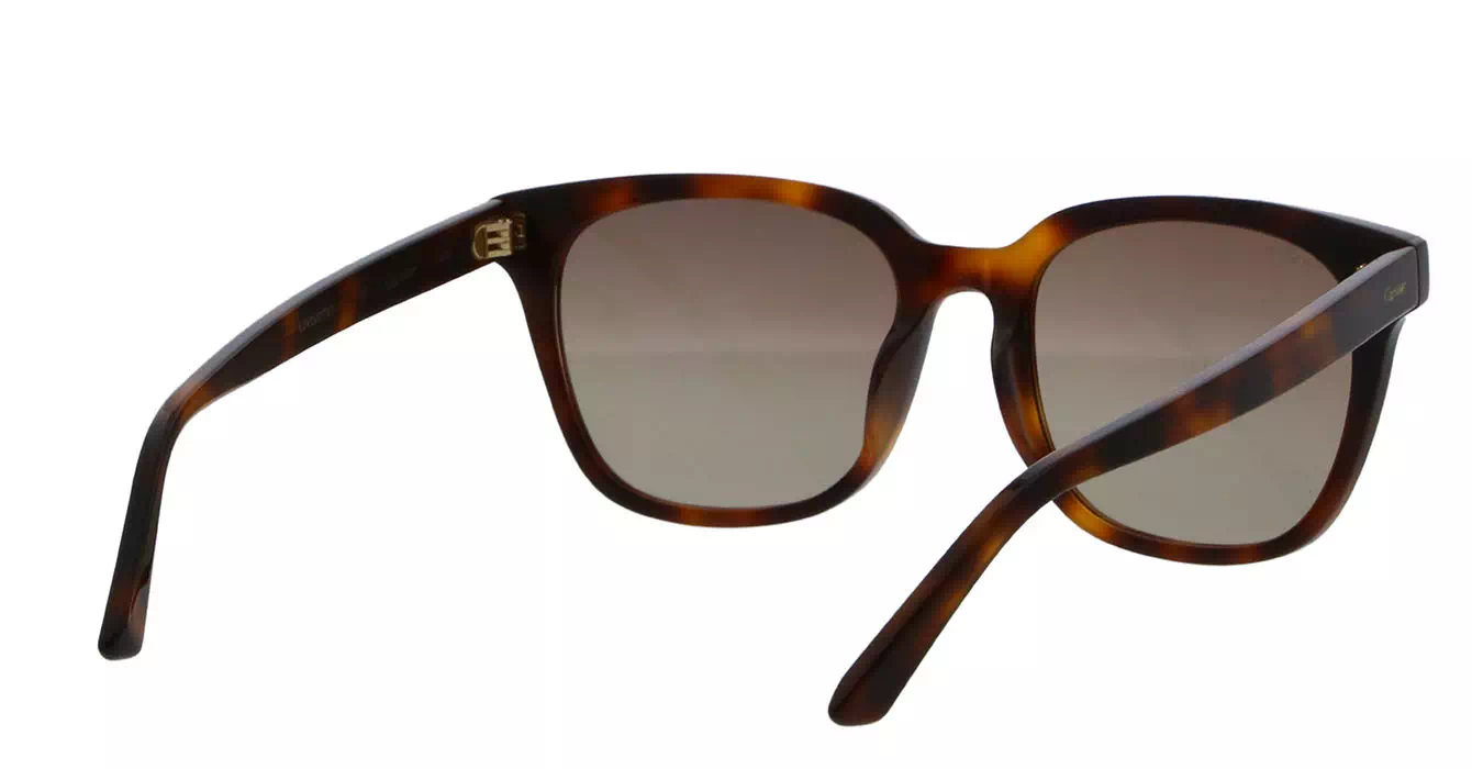Cartier CT0143SA 002 s56