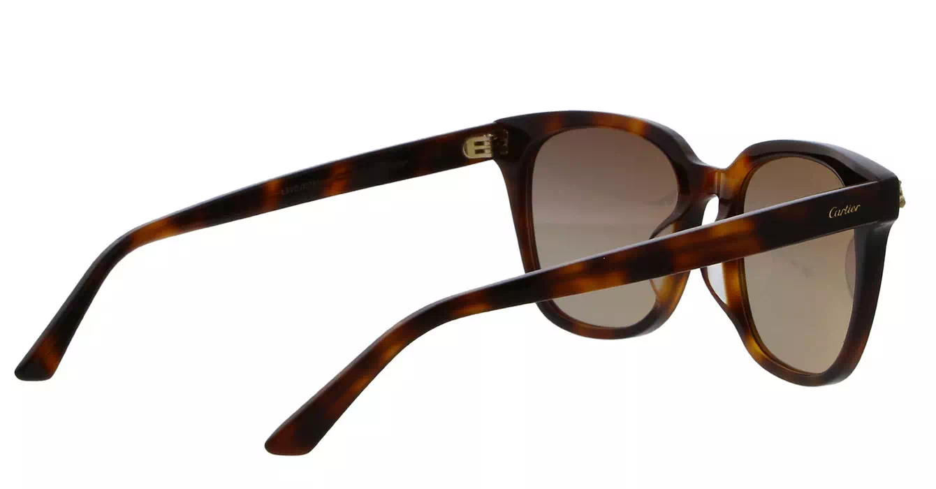 Cartier CT0143SA 002 s56