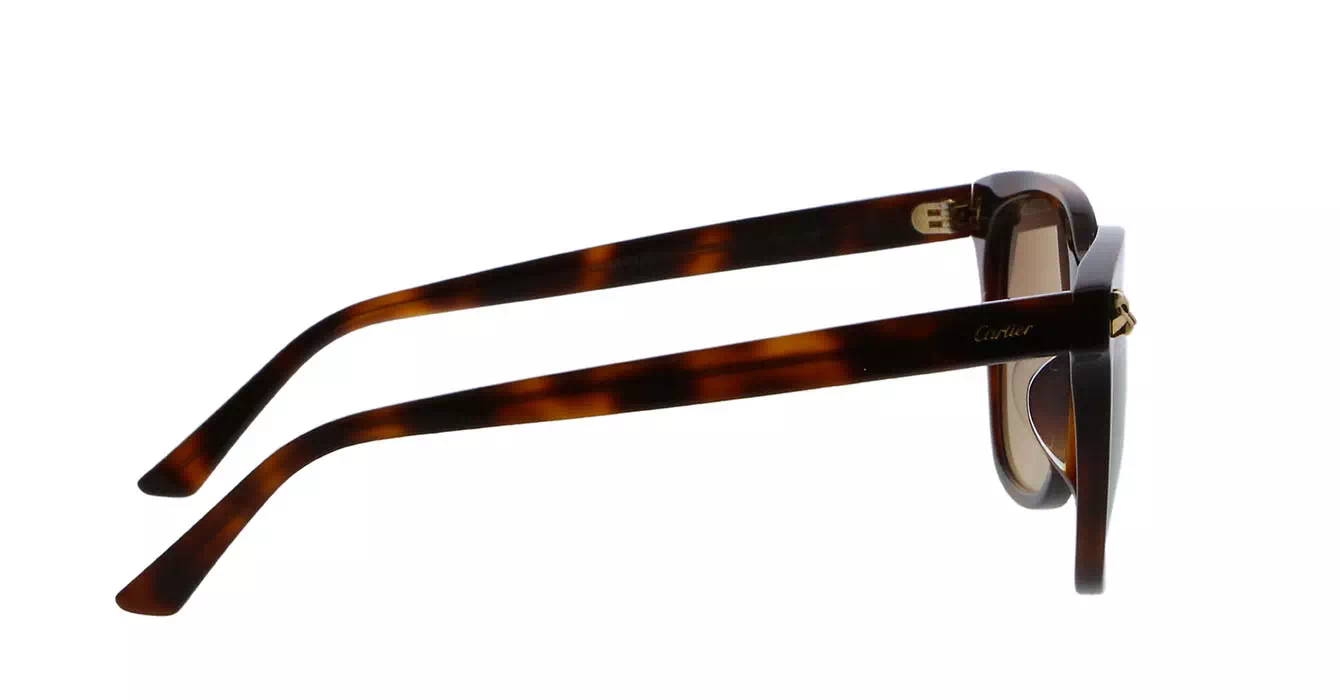 Cartier CT0143SA 002 s56