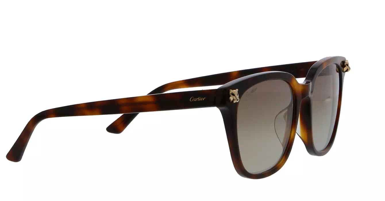 Cartier CT0143SA 002 s56