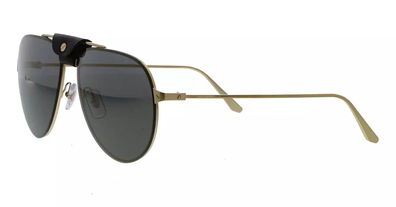 Cartier CT0166S 007 s60